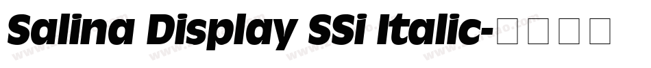 Salina Display SSi Italic字体转换